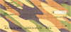 Camo Colors